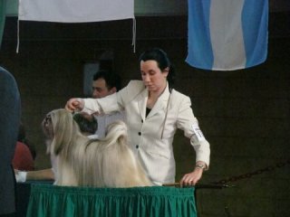 Lomas Kennel Club - Argentina