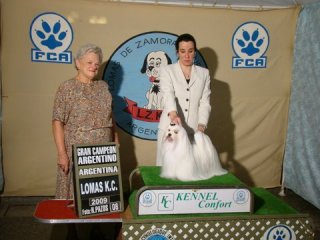 Lomas Kennel Club - Argentina