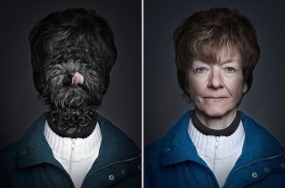 Fotos de perros disfrazados como humanos